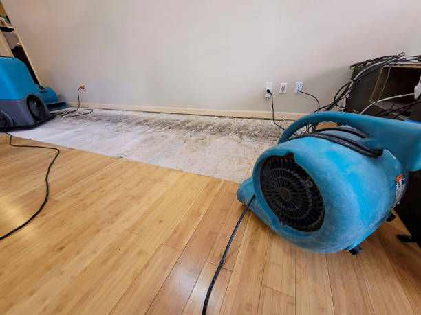 Professional Flood Damage Cleanup technician working in Waynesboro, MS